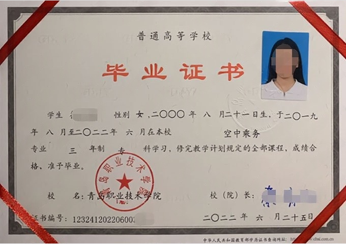 小店区(人口含高新经济区)青岛职业技术学院毕业证样本图片